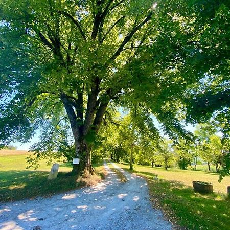 Gite De L'Edelinie Nanteuil-Auriac-de-Bourzac Экстерьер фото